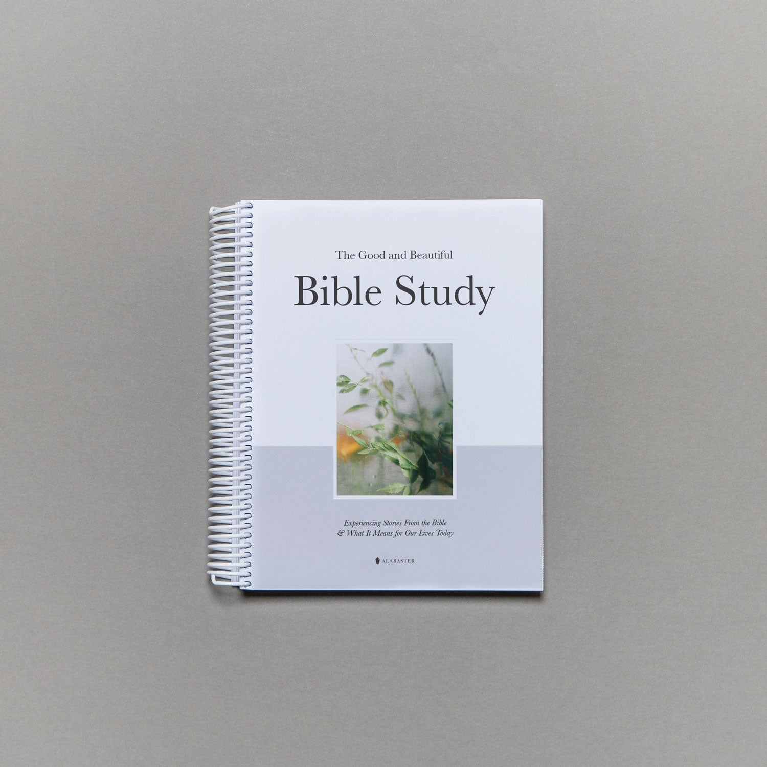 The Good and Beautiful Bible Study - Volume 1