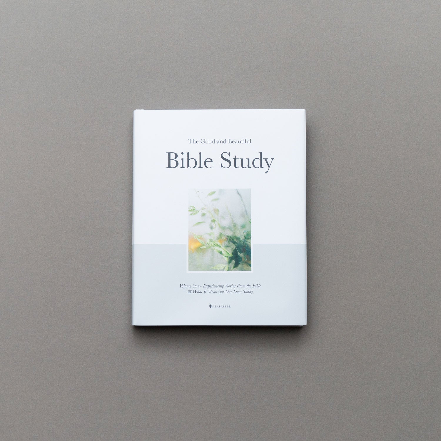 The Good and Beautiful Bible Study - Volume 1